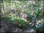 O nosso grupo na trilha do Parque Estadual da Serra da Tiririca em Niterói.